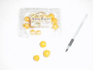 goldenberries1.jpg