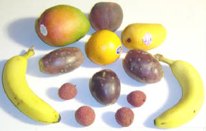 fruits.jpg